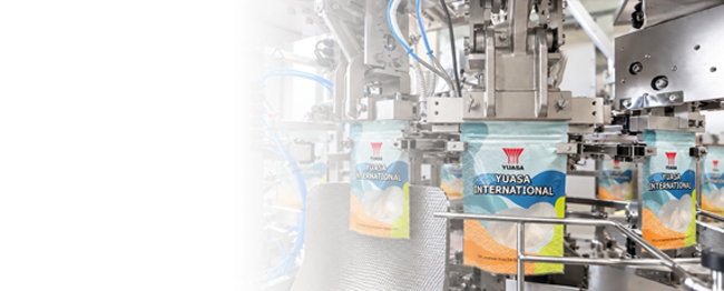 Bag Feeding Packaging Machine